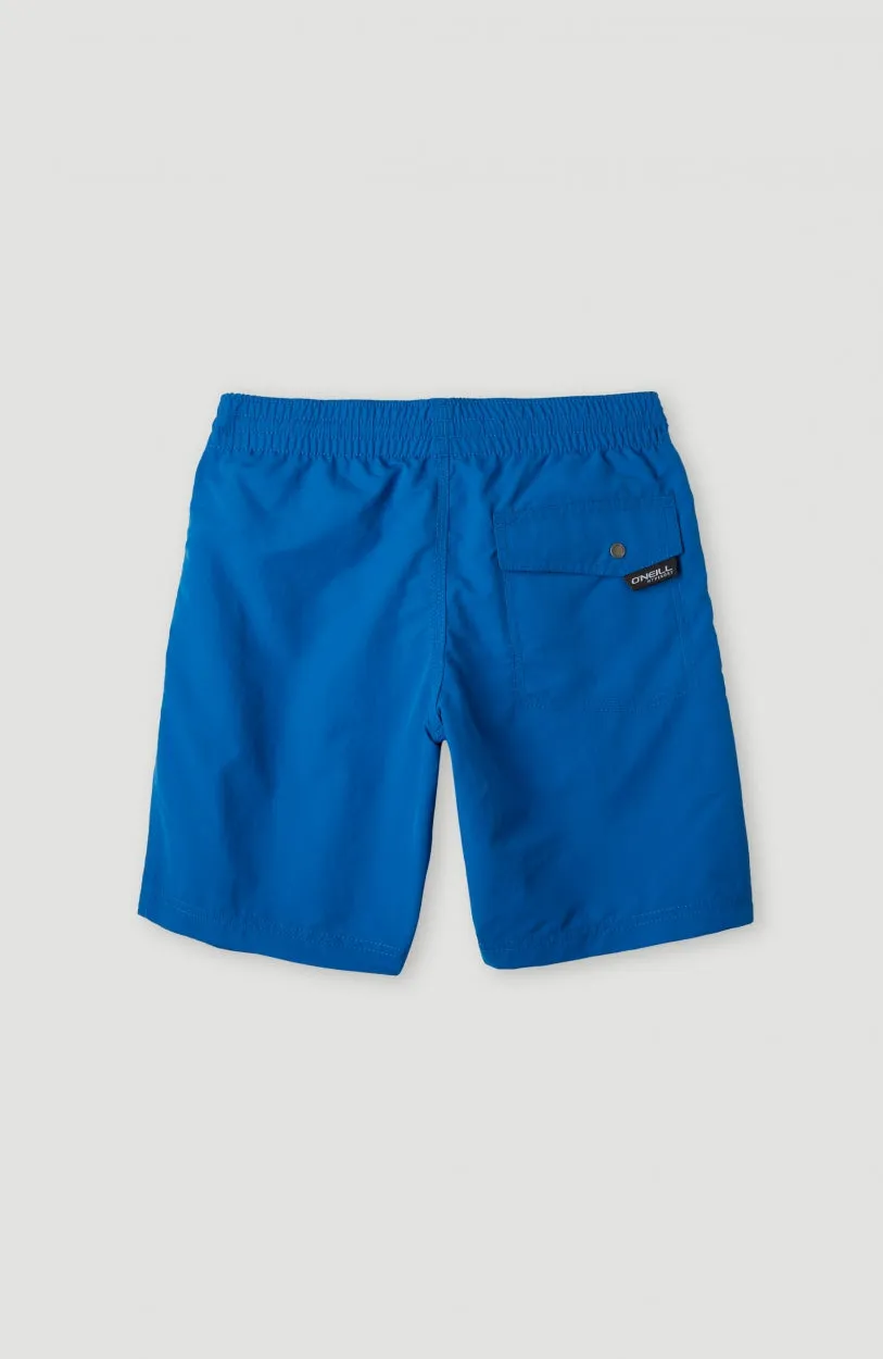 Vert Swim Shorts | Victoria Blue