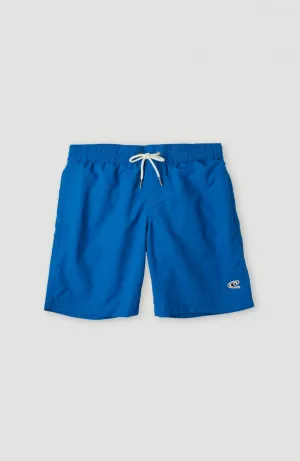 Vert Swim Shorts | Victoria Blue